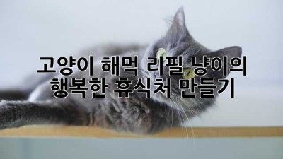 고양이 해먹 리필: 냥이의 행복한 휴식처 만들기